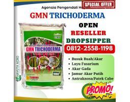 SEDANG PROMO TELP 0812-2558-1198, PUSAT Obat Busuk Akar Cabe Bukittinggi