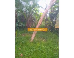 Tanah 400m2 Tetebatu Lombok Timur Lombok A9F989