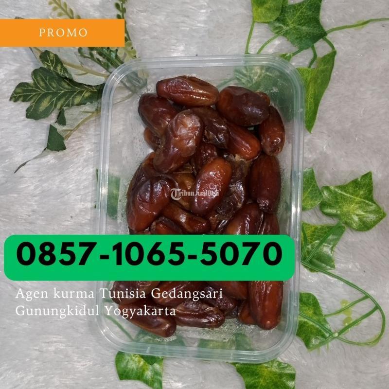 Agen Kurma Tunisia Gedangsari - Gunungkidul Yogyakarta