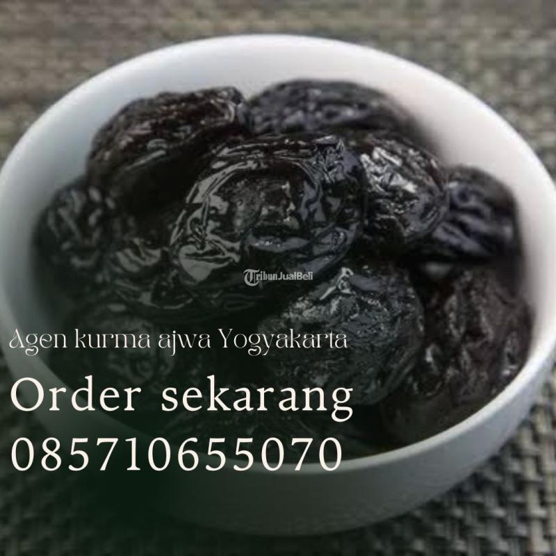 Agen kurma ajwa Gedangsari Gunungkidul Yogyakarta