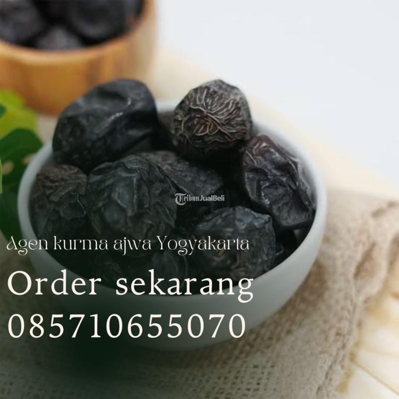 Agen kurma ajwa Gedangsari Gunungkidul Yogyakarta