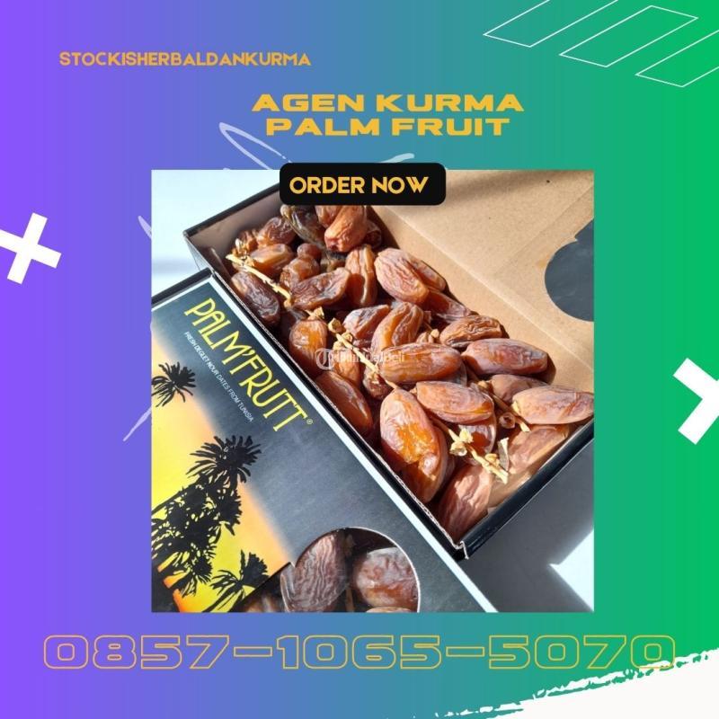 Agen kurma palmfrutt Gedangsari Gunungkidul Yogyakarta