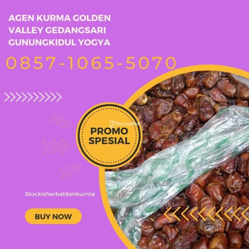 Agen kurma golden valley Gedangsari Gunungkidul Yogyakarta