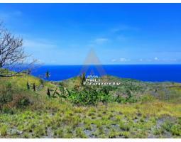 Tanah 2 Hektar View Laut 180 Derajat Dekat Bukit Teletubies Nusa Penida
