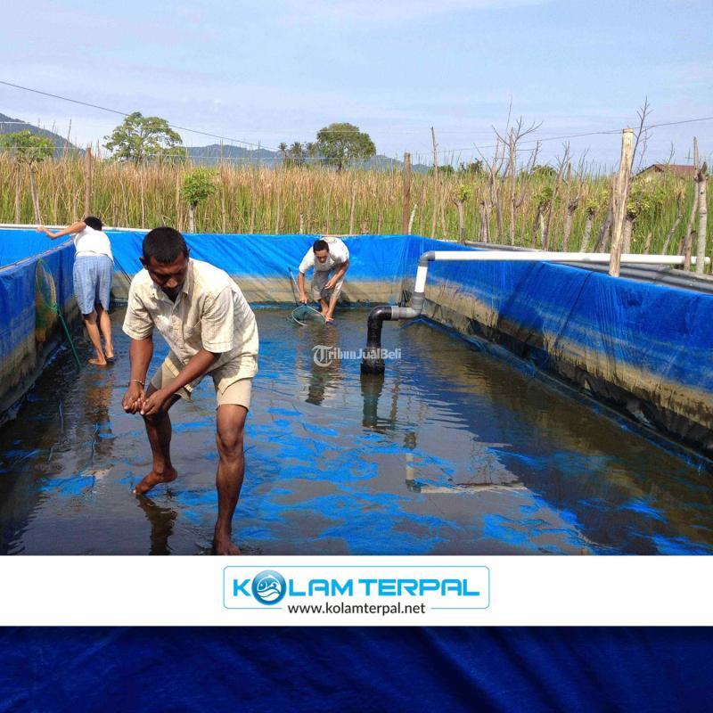 Produksi Kolam Terpal Bulungan