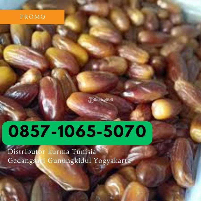 Distributor kurma tunisia Gedangsari Gunungkidul Yogyakarta