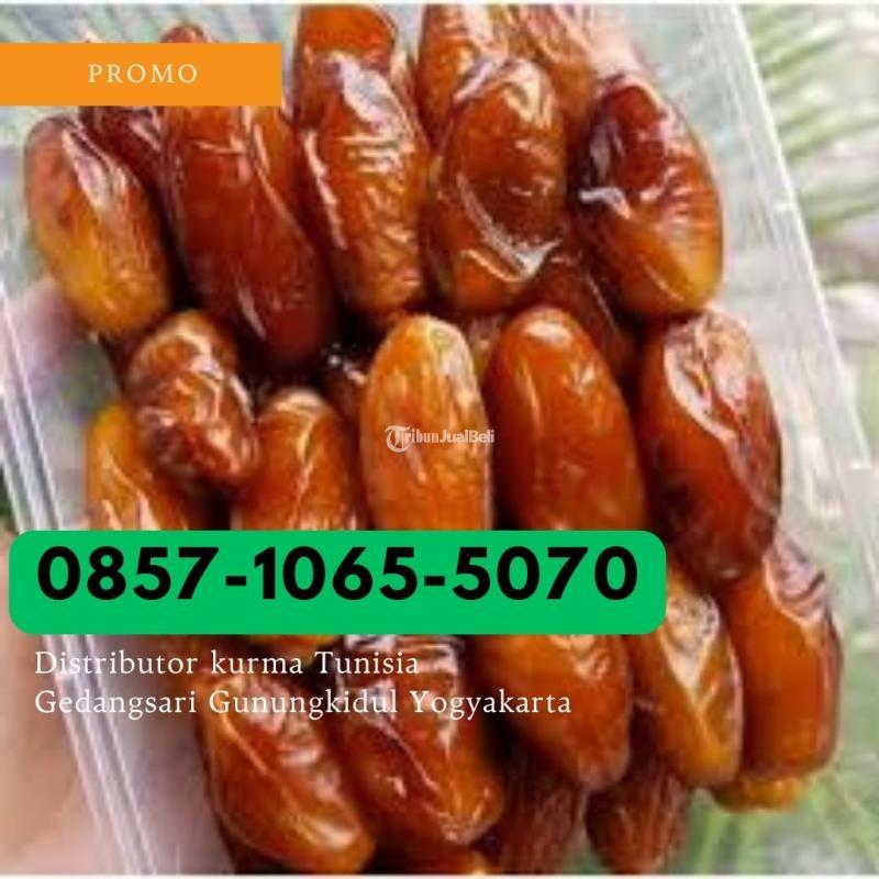 Distributor kurma tunisia Gedangsari Gunungkidul Yogyakarta