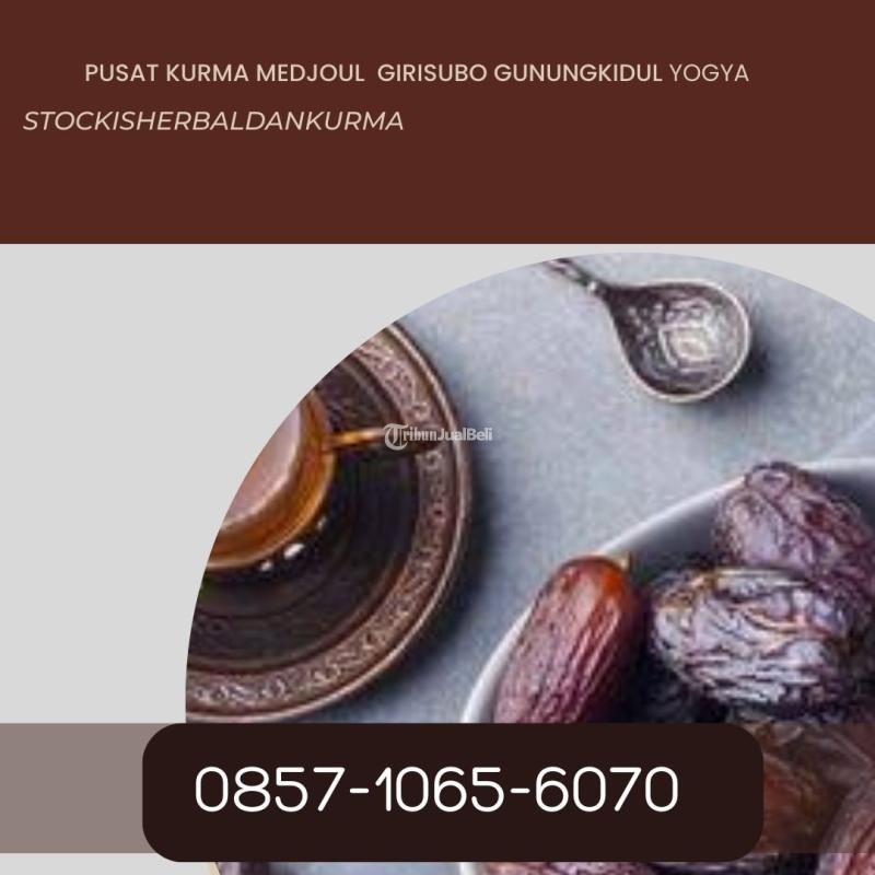 Pusat kurma medjoul Girisubo Gunungkidul Yogyakarta