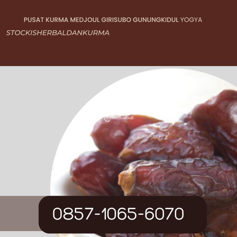 Pusat kurma medjoul Girisubo Gunungkidul Yogyakarta