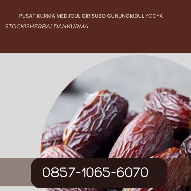 Pusat kurma medjoul Girisubo Gunungkidul Yogyakarta