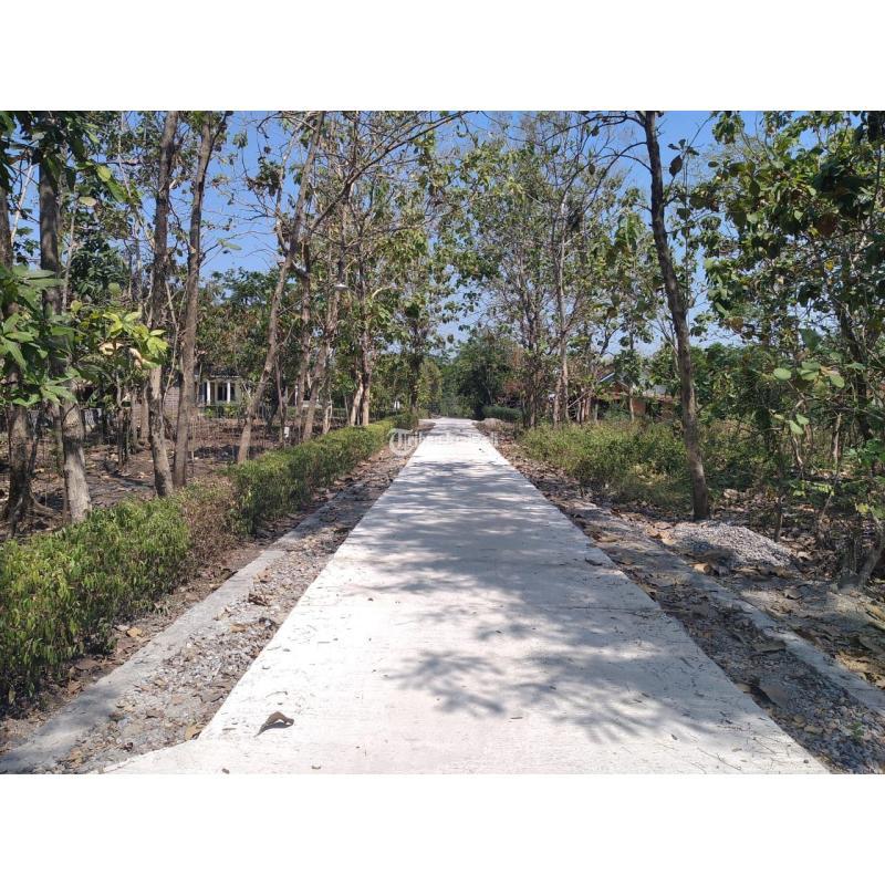 Dijual Tanah Kavling Harga Murah Luas 100m2 Di Pohgogor Bendosri - Sukoharjo Jawa Tengah