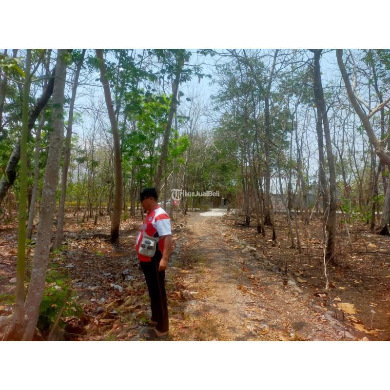 Dijual Tanah Kavling Harga Murah Luas 100m2 Di Pohgogor Bendosri - Sukoharjo Jawa Tengah