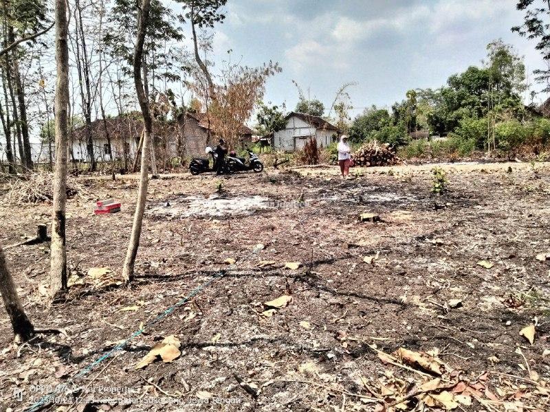 Dijual Tanah Kavling Harga Murah Luas 100m2 Di Pohgogor Bendosri - Sukoharjo Jawa Tengah