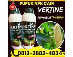 KUALITAS TERUJI 0812-2882-4834, PUSAT Pupuk Jagung Buol, Pupuk Jagung Agar Berbuah Besar Morowali, Pupuk Buah Jagung