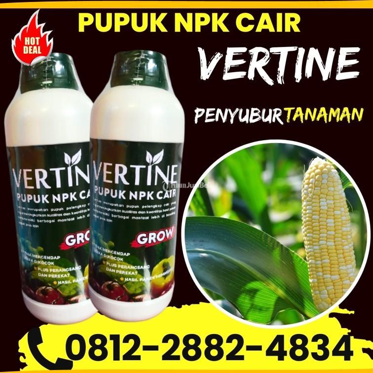 KUALITAS TERUJI 0812-2882-4834, PUSAT Pupuk Jagung Buol, Pupuk Jagung Agar Berbuah Besar Morowali, Pupuk Buah Jagung