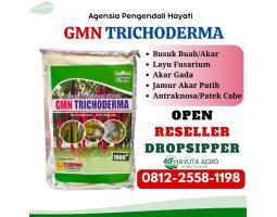 HARGA KHUSUS TELP 0812-2558-1198, GROSIR Obat Jamur Tanaman Tomat Kepulauan Mentawai, HARGA Obat Jamur Akar Putih Dharmasraya, AGEN Obat Jamur Akar Putih Pada Tanaman Karet Sarilamak