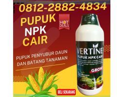 TERPERCAYA 0812-2882-4834, Pupuk Jagung Agar Berbuah Besar Morowali, Pupuk Buah Jagung Bungku, Pupuk Jagung Cair Banggai Kepulauan