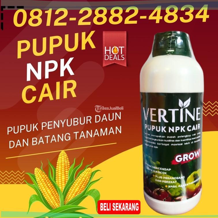 TERPERCAYA 0812-2882-4834, Pupuk Jagung Agar Berbuah Besar Morowali, Pupuk Buah Jagung Bungku, Pupuk Jagung Cair Banggai Kepulauan