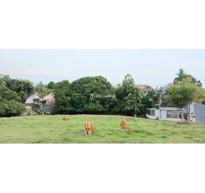 Tanah murah 4075m2 SHM dlm kota Denpasar cocok untuk kavling dan perumahan