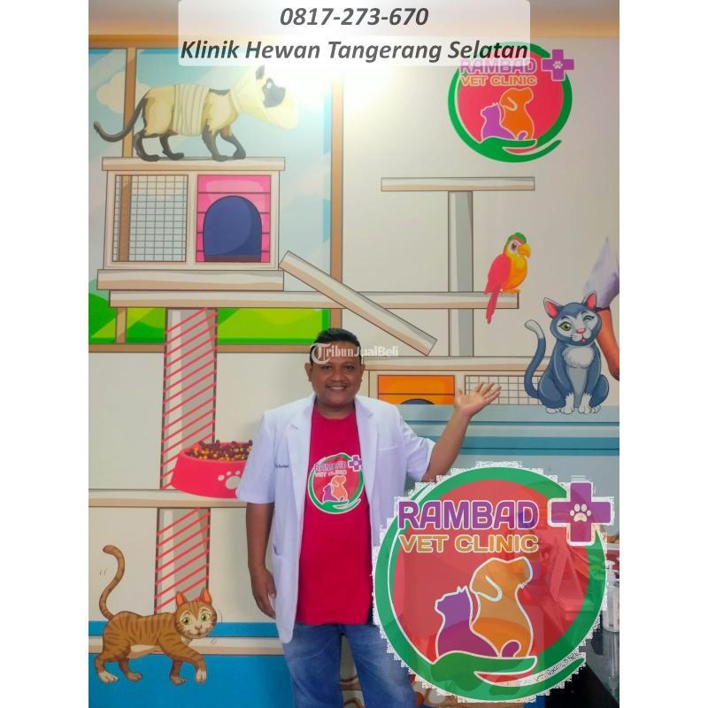 Tempat Vaksin Kucing Rambad Vet Clinic di Tangerang Selatan Banten Tempat Vaksin Kucing Rambad Vet Clinic di Tangerang Selatan Banten