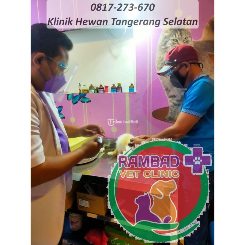 Tempat Vaksin Kucing Rambad Vet Clinic di Tangerang Selatan Banten Tempat Vaksin Kucing Rambad Vet Clinic di Tangerang Selatan Banten