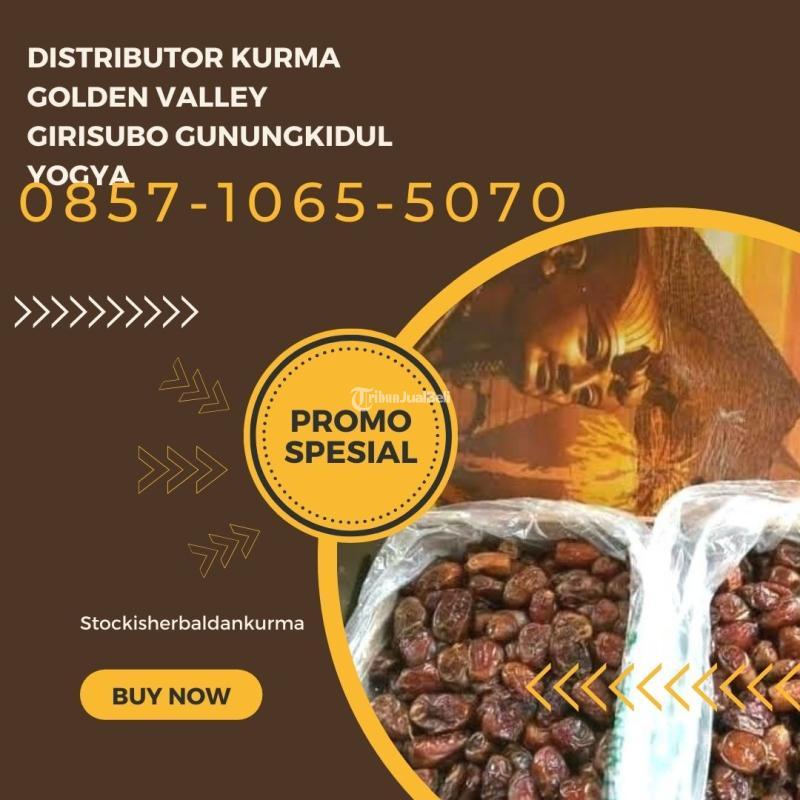 Distributor kurma golden valley Girisubo Gunungkidul Yogyakarta