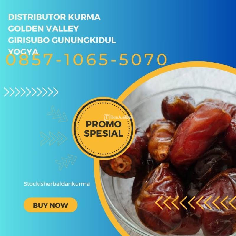 Distributor kurma golden valley Girisubo Gunungkidul Yogyakarta
