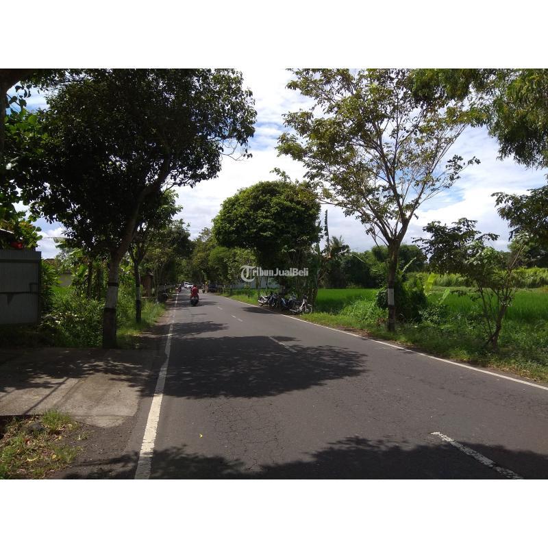 Tanah ada mata air zona perdagangan dan jasa Abiansemal Badung Bali