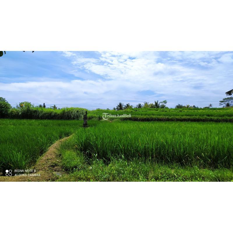 Tanah ada mata air zona perdagangan dan jasa Abiansemal Badung Bali