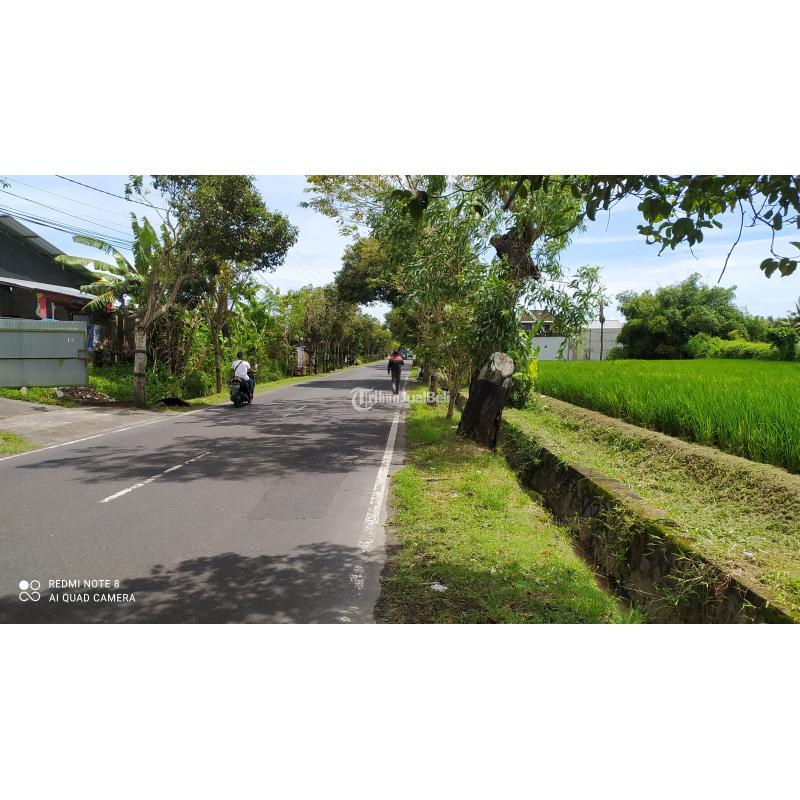 Tanah ada mata air zona perdagangan dan jasa Abiansemal Badung Bali