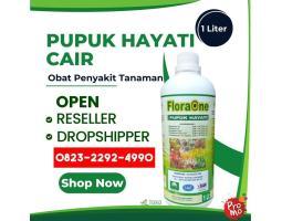 AMPUH TELP 0823-2292-4990, PABRIK Obat layu pada tomat Banjar, AGEN Obat layu pada tanaman kentang Kotabaru