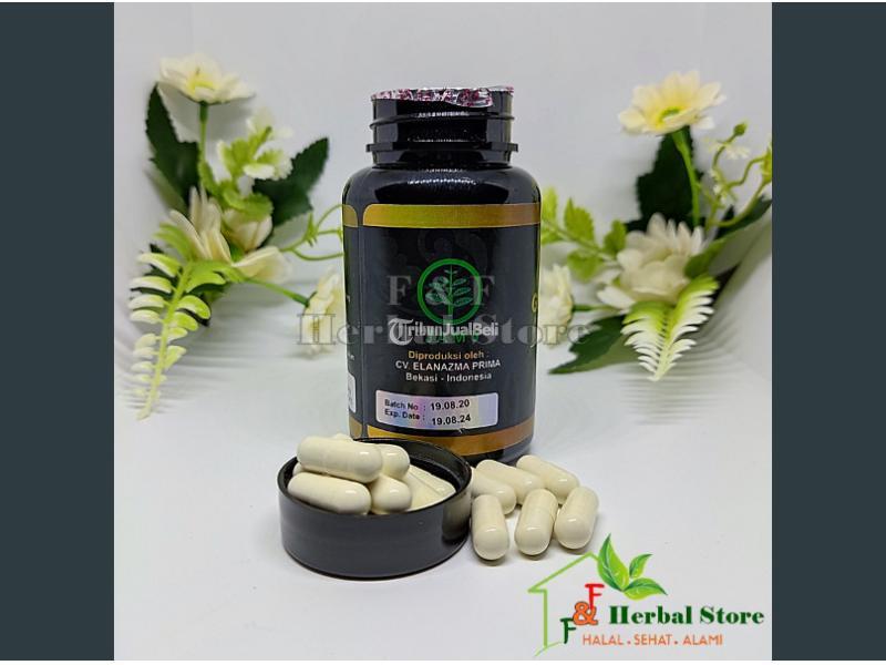 Vas Gamat Emas Colagen Original 100 Resmi BPOM