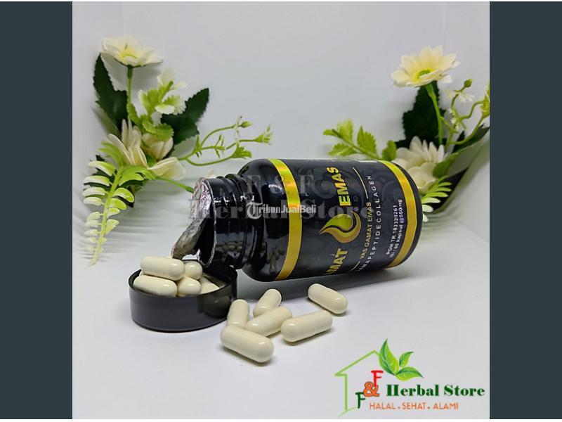 Vas Gamat Emas Colagen Original 100 Resmi BPOM