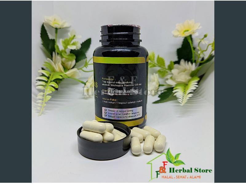 Vas Gamat Emas Colagen Original 100 Resmi BPOM