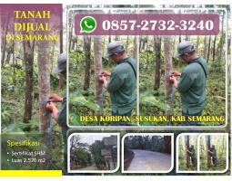 Jual Tanah Perkebunan Murah di Kecamatan Susukan KLT2500 SHM - Semarang 