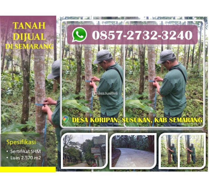 Jual Tanah Perkebunan Murah di Kecamatan Susukan KLT2500 SHM - Semarang 