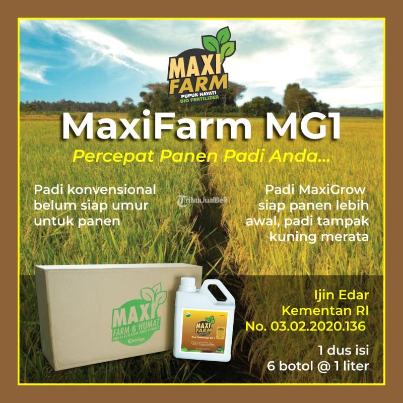 Biofertilizer MaxiFarm MG1 Pupuk Hayati Cair Surabaya, Sidoarjo, Gresik