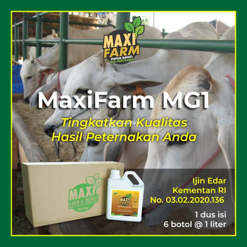 Biofertilizer MaxiFarm MG1 Pupuk Hayati Cair Surabaya, Sidoarjo, Gresik
