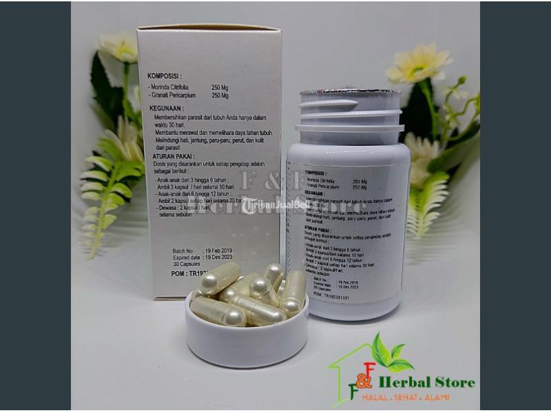 Obat Pembasmi Parasit Dalam Tubuh Ampuh Biodeto Asli Original