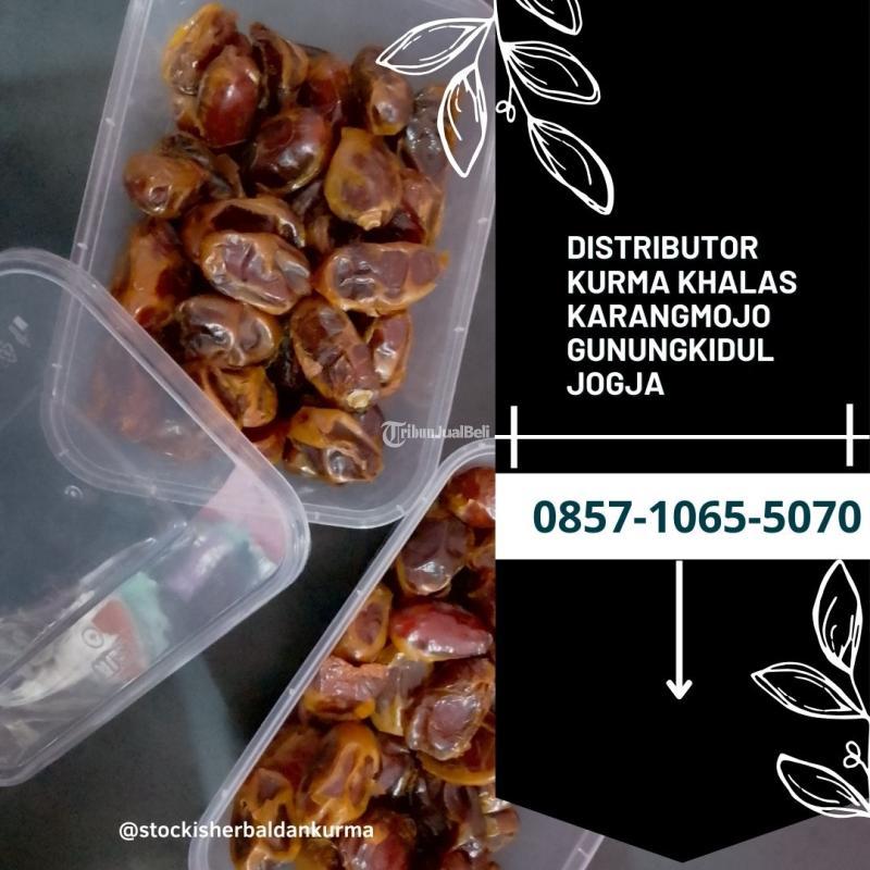 Distributor kurma khalas karangmojo Gunungkidul Jogja