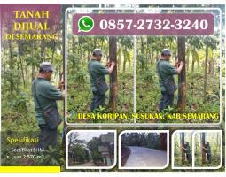 Dijual Tanah Perkebunan Murah di Kecamatan Susukan LT2507 SHM - Semarang Jawa Tengah 