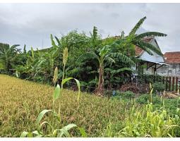 Dijual Tanah Bonus 3 Rumah Lama. Dekat Dengan XT Square LT1334 - Yogyakarta