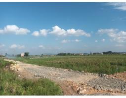 Kavlingan Tanah Dijual Murah Tanpa Dp Luas 105 m2 Di Fajar Baru Dekat Labuhan Dalam - Lampung Selatan 