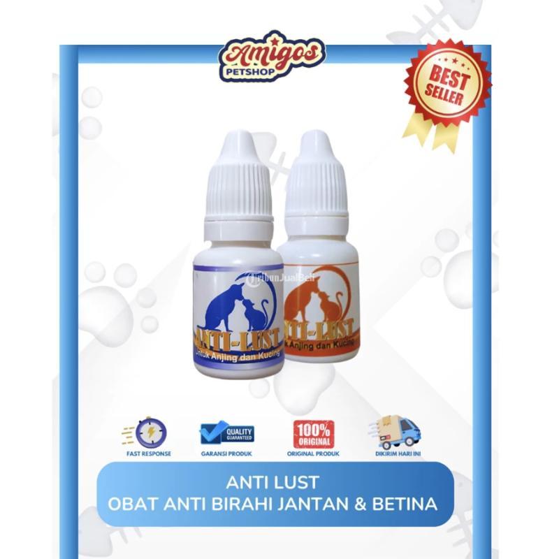 Anti Lust Obat Anti Birahi Kucing dan Anjing Amigos Petshop - Makassar 