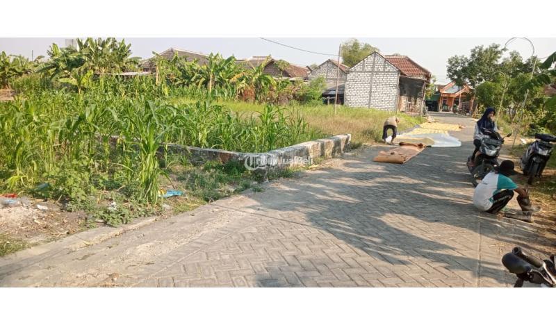 Jual Cepat Tanah Murah Luas 81 m2 di Menganti - Gresik