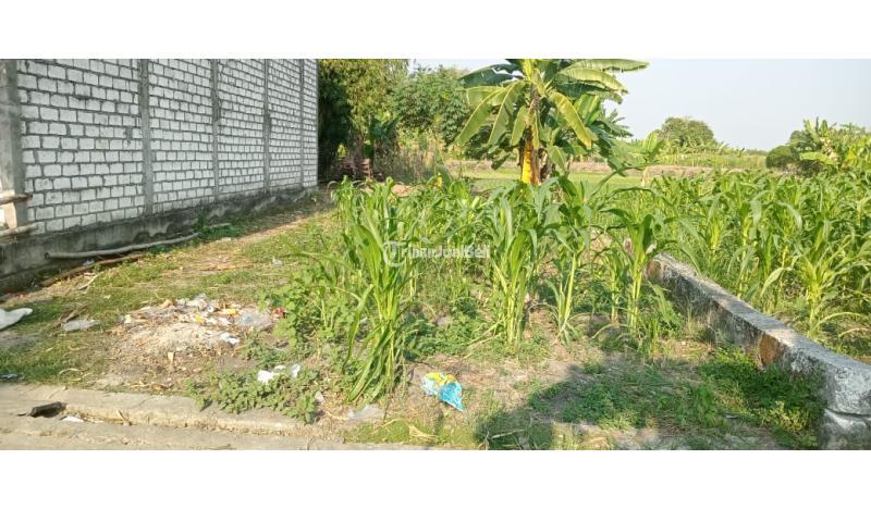Jual Cepat Tanah Murah Luas 81 m2 di Menganti - Gresik