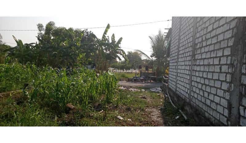 Jual Cepat Tanah Murah Luas 81 m2 di Menganti - Gresik