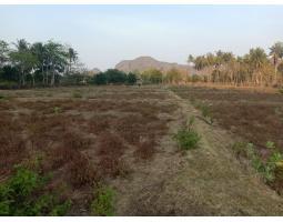 Dijual Tanah 12828 m2 Dekat Tambang Amman Mineral Sekongkang - Sumbawa Barat 
