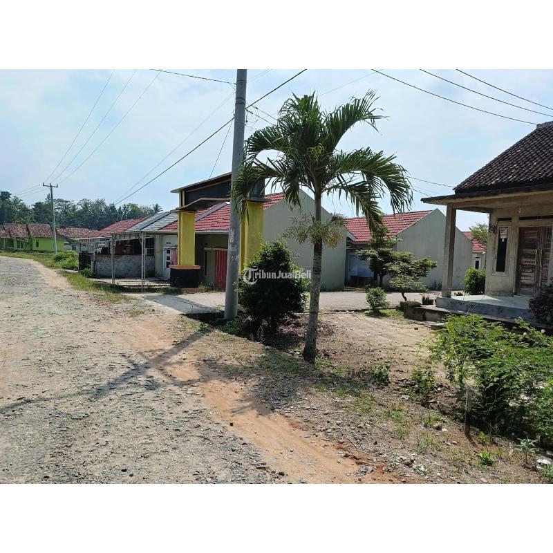 Dijual Tanah 1500meter Samping Perum Polda Itera di Banjar Agung Terima SHM An Pembeli - Lampung Selatan