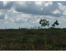 Dijual Tanah Luas 37000m2 SHM Dengakat Kantor Bupati - Kubu Raya Kalimantan Barat
